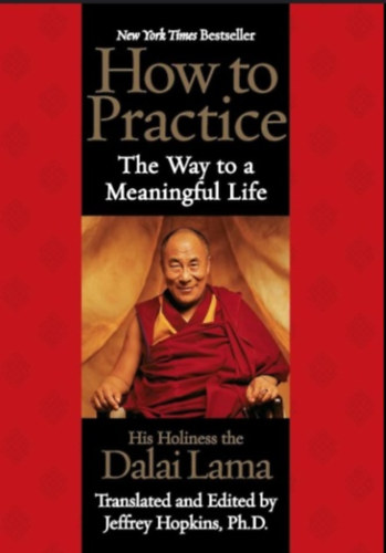 Dalai Láma - How to practice: The way to a meaningful life