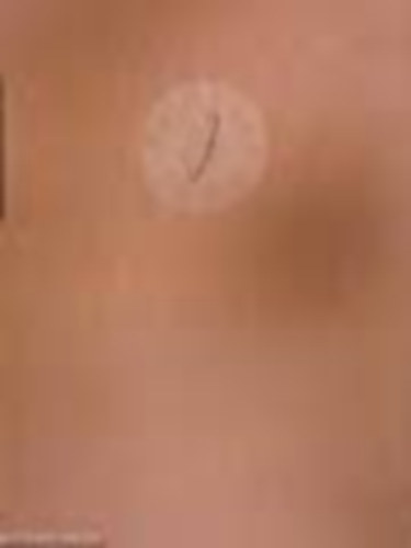 Klaniczay-Szauder-Szabolcsi - A kultúra világa-Magyar irodalom, a magyar nép története