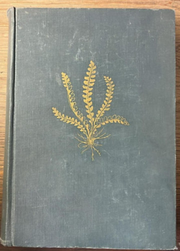 So� Rezs� - A magyar fl�ra �s veget�ci� rendszertani-n�v�nyf�ldrajzi k�zik�nyve I.