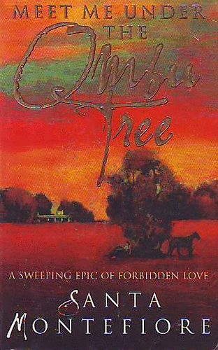 Santa Montefiore - Meet Me Under The Ombu Tree