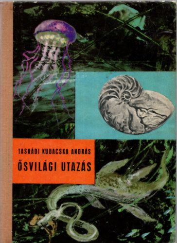 Tasndi-Kubacsa Andrs - svilgi utazs