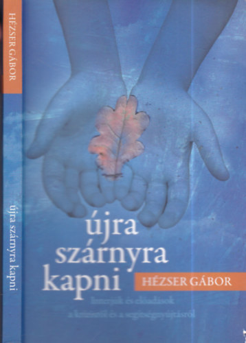 H�zser G�bor - �jra sz�rnyra kapni - Interj�k �s el�ad�sok a kr�zisr�l �s a seg�ts�gny�jt�sr�l