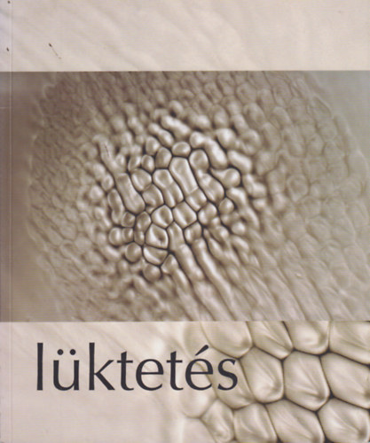 Lktets - Kortrs mvszeti killts