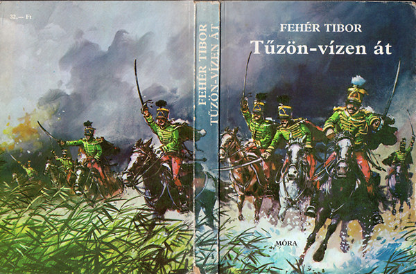 Fehr Tibor - Tzn-vzen t