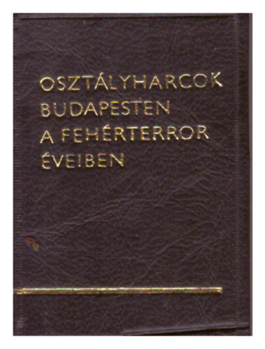 Osztályharcok Budapesten a fehérterror éveiben (minikönyv)