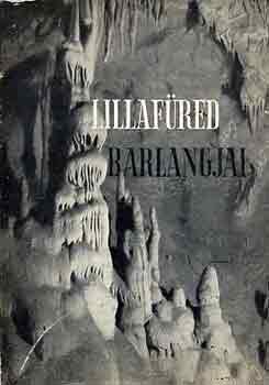 Dr. Kessler Hubert-Megay Gza - Lilafred barlangjai