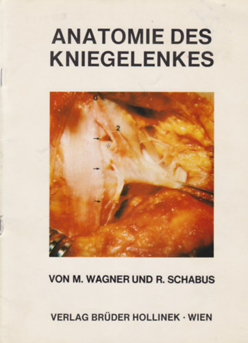R. Schabus M. Wagner - Anatomie des Kniegelenkes
