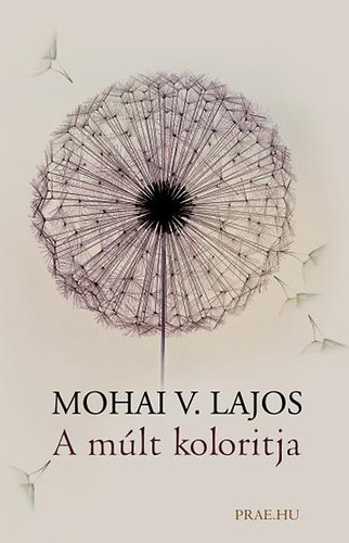 Mohai V. Lajos - A mlt koloritja