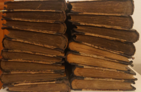 Gogol Mikl�s - Holt lelkek (Braille-�r�ssal!) - 17. k�tet!