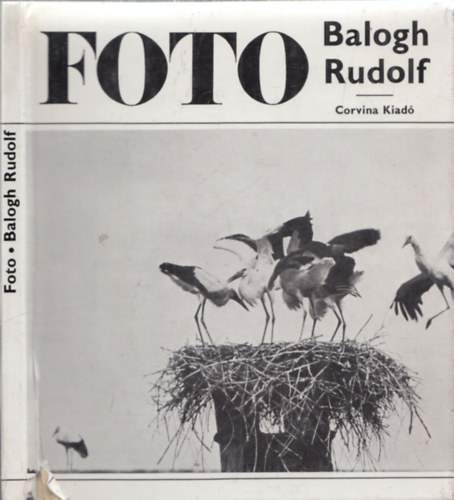 Vajda Ern� - Balogh Rudolf munk�ss�ga