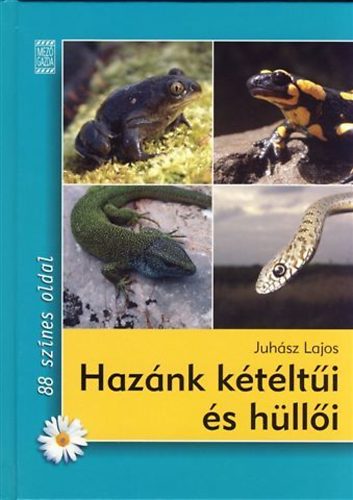 Juhsz Lajos - Haznk ktlti s hlli