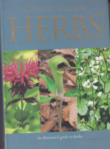 Jenny Linford - A pocket guide to herbs