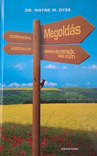 Dr. Zsolnai Margit  Wayne W. Dyer (szerk.), Frank Benedek (ford.) - Megolds - Szomorsg, Aggodalom; Minden helyzetbl van kit! - llekgygyszat (Spiritulis megolds minden problmra cmmel is megjelent)