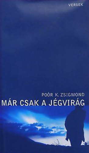 Poór K. Zsigmond - Már csak a jégvirág