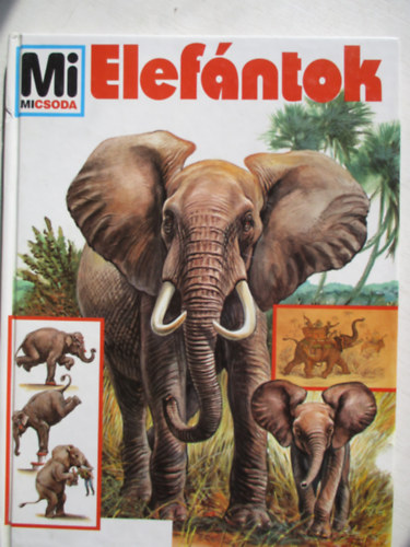 Dr.Urlich Sedlag - Elef�ntok- Mi micsoda 17.