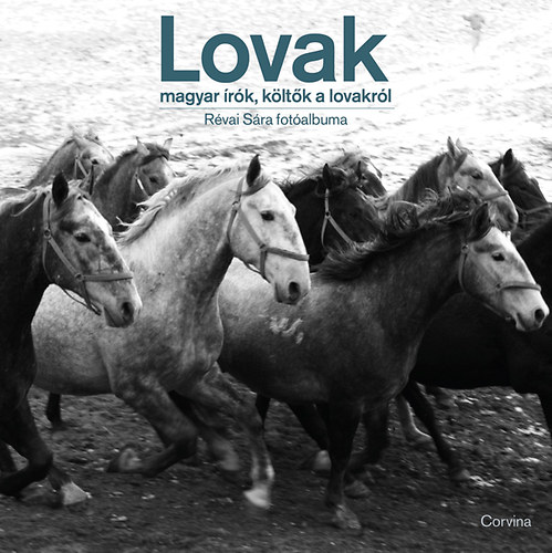 Lovak - Magyar rk, kltk a lovakrl