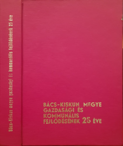 Dr. Krs Gspr - Bcs-Kiskun megye gazdasgi s kommunlis fejldsnek 25 ve