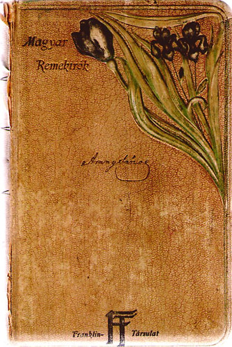 Riedl Frigyes (szerk.) - Arany János munkái II.