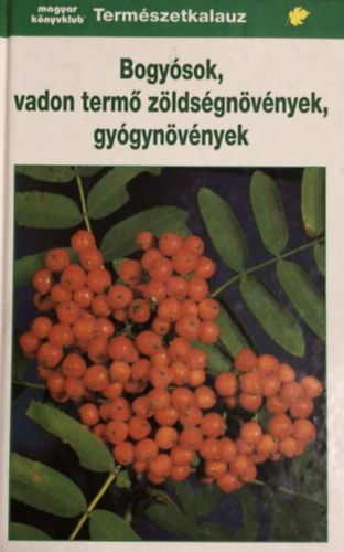 Gunter Steinbach (Illusztrálta Hänel és Fritz Wendler Szakértő: Prof. Paul Bauer) - Bogyósok, vadon termő zöldségnövények, gyógynövények