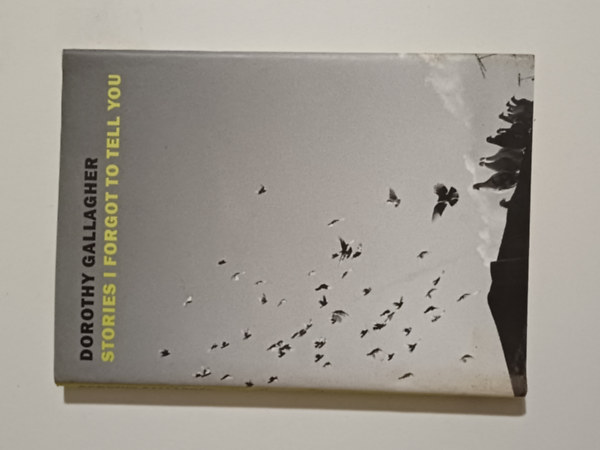 Dorothy Gallagher - Stories I Forgot to tell you