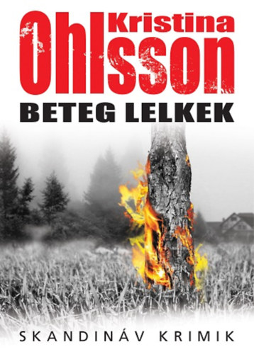 Kristina Ohlsson - Beteg lelkek