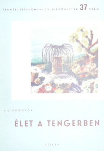 V. G. Bogorov - let a tengerben