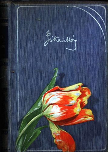 Jókai Mór - Sonkolyi Gergely - Délvirágok - Varchoniták