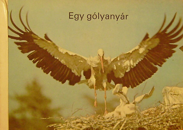 Harald Lange - Egy glyanyr