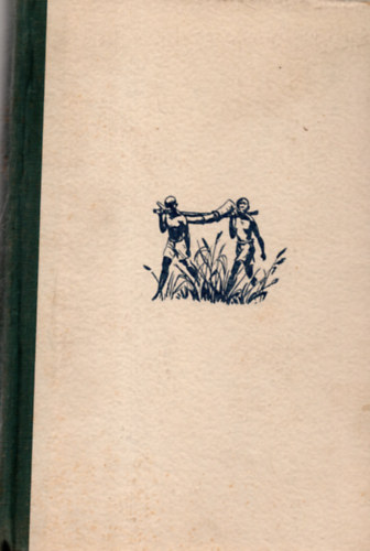 Szchenyi Zsigmond - Afrikai tbortzek