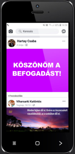 Hartay Csaba - Ksznm a befogadst