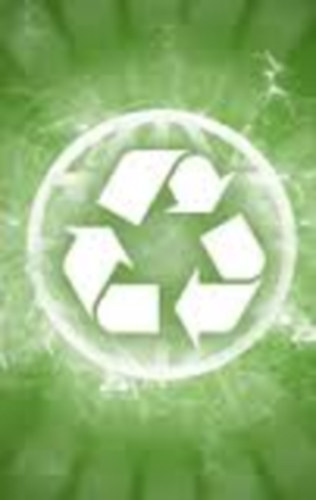 Hanzmann Jzsefn - Krnyezetvdelmi szablyzat