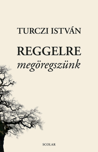 Turczi István - Reggelre megöregszünk