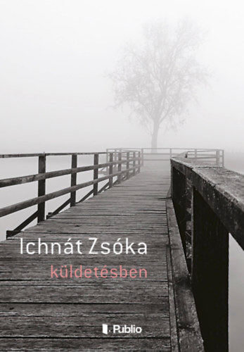 Ichn�t Zs�ka - K�ldet�sben