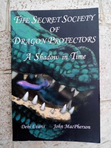 John MacPherson Debi Evans - A Shadow in Time - The Secret Society of Dragon Protectors