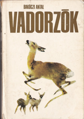Bakczi Antal - Vadorzk