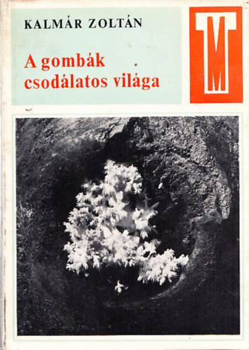 Kalmár Zoltán - A gombák csodálatos világa