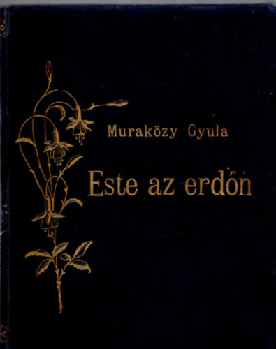 Murak�zy Gyula - Este az erd�n