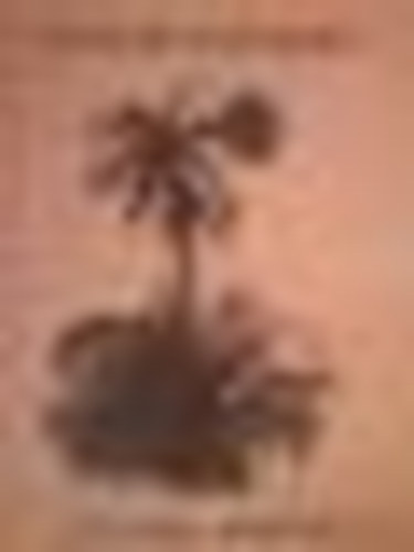 Stancsics Erzsébet - Szavaim - színeim