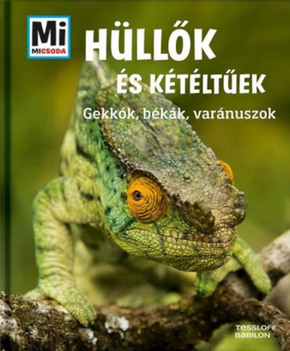 Manfred Niekisch - Hüllők és kétéltűek (Mi Micsoda)