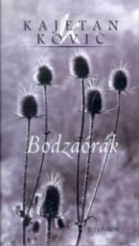 Kajetan Kovic - Bodzaórák