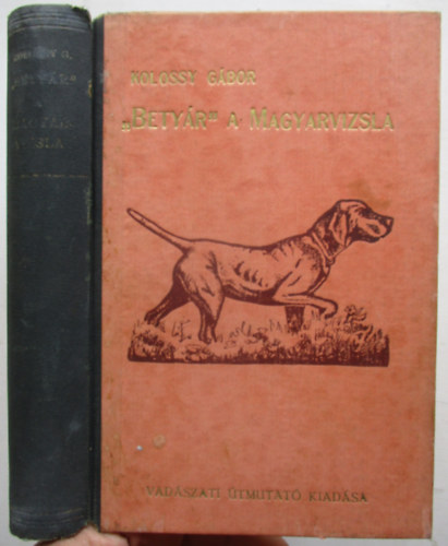 Kolossy Gbor - "Betyr" a magyarvizsla