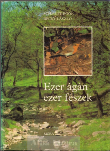 Schmidt Egon-Bcsy Lszl - Ezer gn ezer fszek