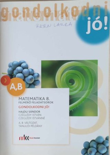 Czegldi Istvn, Czegldi Istvnn Hajdu Sndor - Gondolkodni j! - Felmr feladatsorok Matematika 8. - A,B vltozat, tanuli pldny