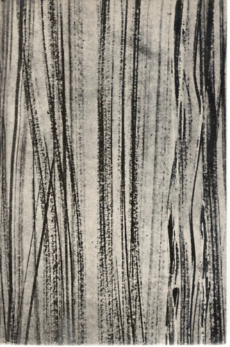 G�nther-Hannemann-Hieke - Urania �llatvil�g: rovarok