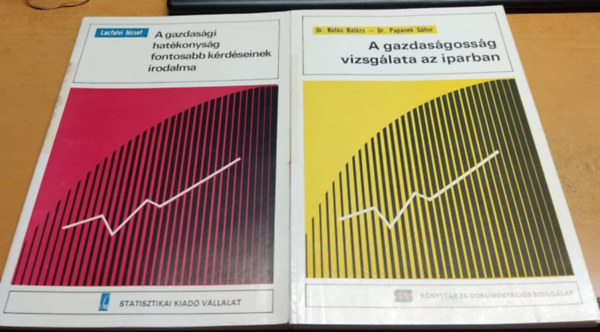 Botos Balzs, Papanek Gbor Lacfalvi Jzsef - 2 db Gazdasg: A gazdasgi hatkonysg fontosabb krdseinek irodalma + A gazdasgossg vizsglata az iparban