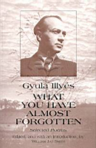 Illys Gyula - What you have almost forgotten (Selected Poems)