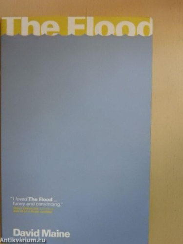 Jean-Marie Gustave Le Cl�zio - The flood