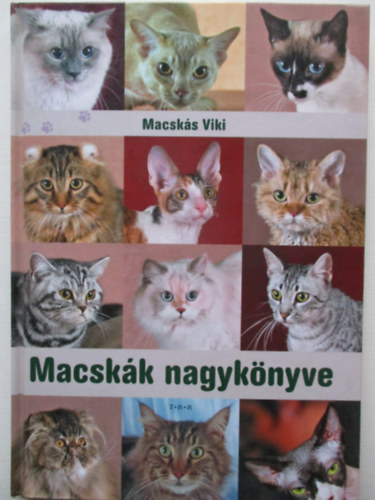 Macsks Viki - Macskk nagyknyve