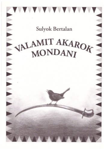 Sulyok Bertalan - Valamit akarok mondani