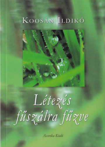 L�tez�s f�sz�lra f�zve